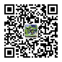 東莞配電安裝公司|工廠(chǎng)水電安裝公司|注塑機(jī)水電氣安裝|空壓機(jī)氣管安裝|配電柜維修|配電房維保|拉電纜施工隊(duì)|變壓器維修